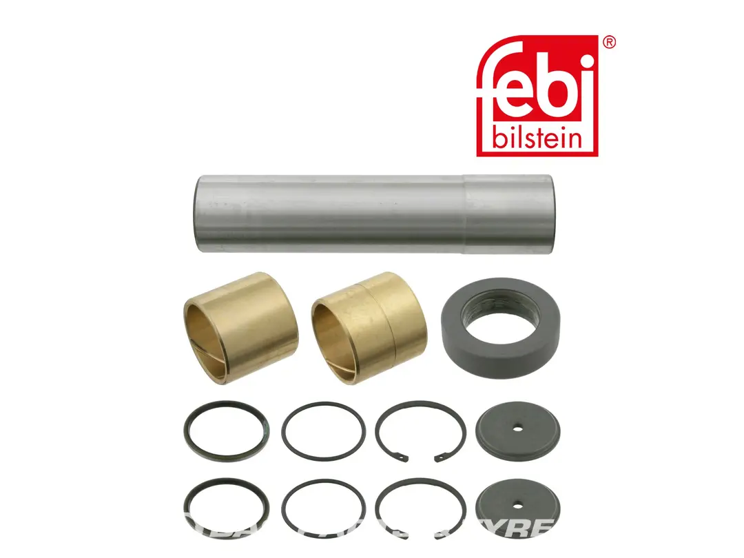 Set di perni del perno Febi 3073300019