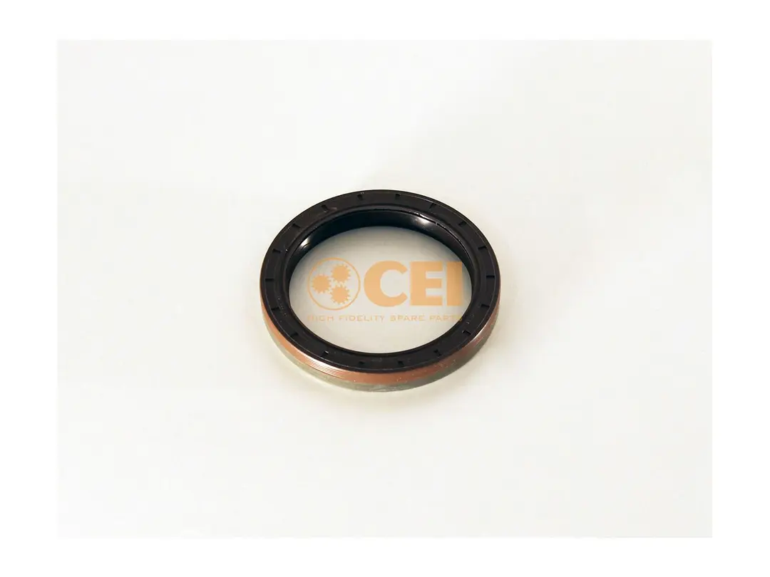 Vedação a óleo CEI 40100960