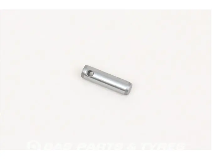 Pin Pin