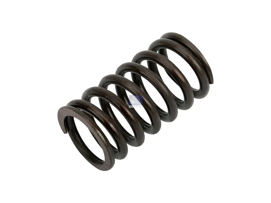 Valve spring DT Spare Parts 9060530120