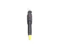 Injecteur Delphi Corporation 2047600