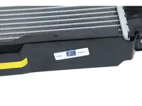 Radiator DT Spare Parts 5001874693