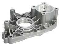 Scatola del cambio ZF 1746777