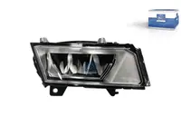 Nebelscheinwerfer DT Spare Parts 2948539